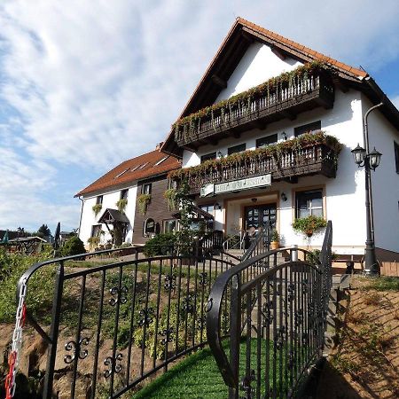 Hotel-Pension Flechsig Hartmannsdorf bei Kirchberg Exterior photo