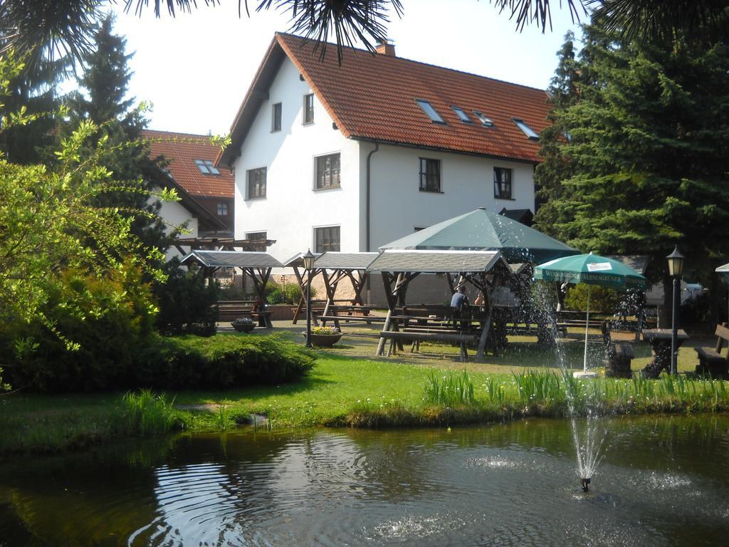 Hotel-Pension Flechsig Hartmannsdorf bei Kirchberg Exterior photo